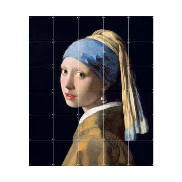 Wanddecoratie Vermeer