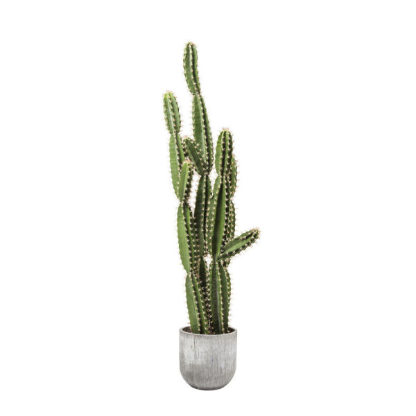 Kunstplant staande cactus van 202 cm