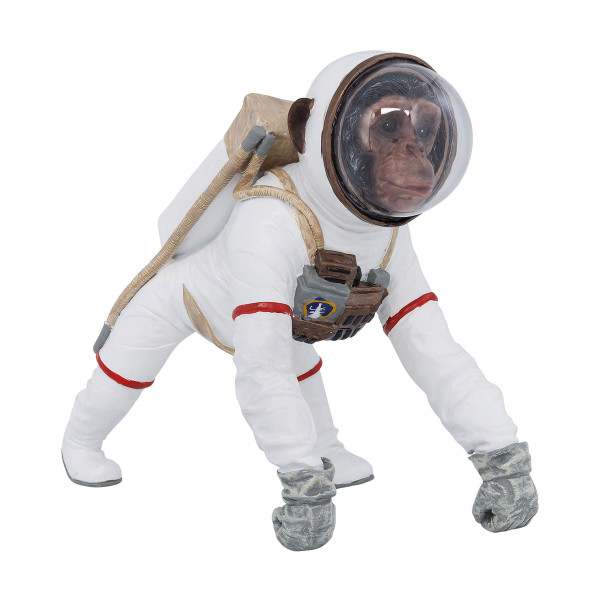 Astronaut aap