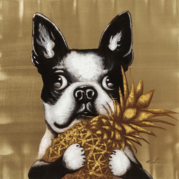 Afbeelding van hond met ananas