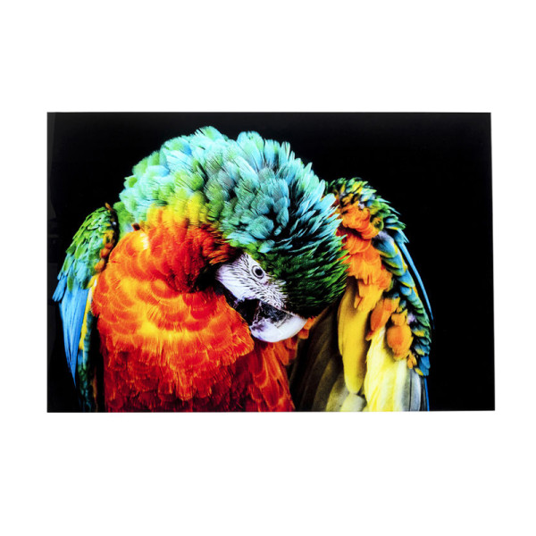 Glas schilderij papegaai